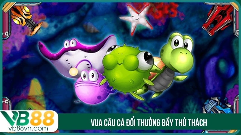 Vua câu cá đổi thưởng đầy thử thách