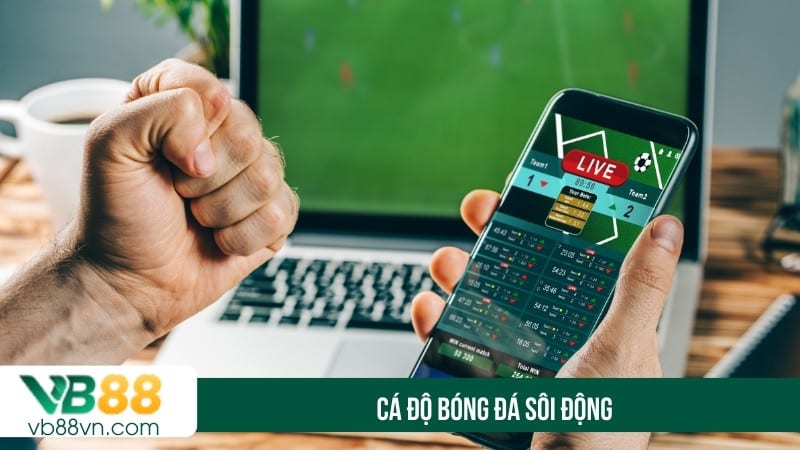 Cá độ bóng đá sôi động