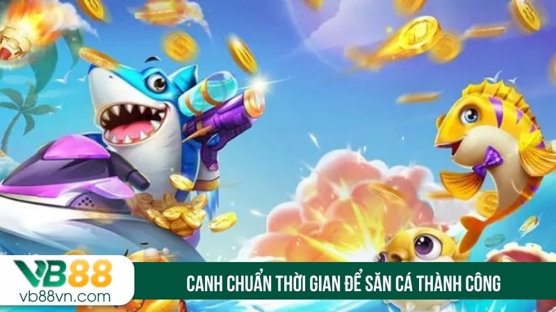 Canh chuẩn thời gian để săn cá thành công