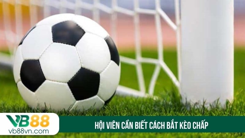 Hội viên cần biết cách bắt kèo chấp