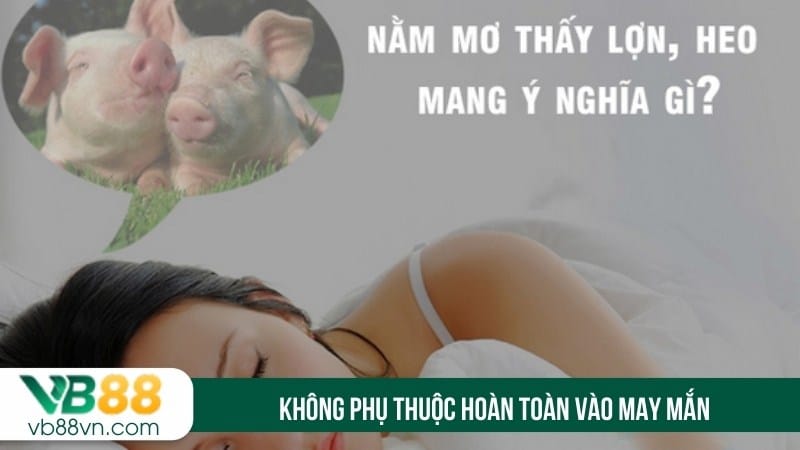 Không phụ thuộc hoàn toàn vào may mắn