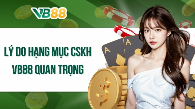 Lý do hạng mục CSKH VB88 quan trọng