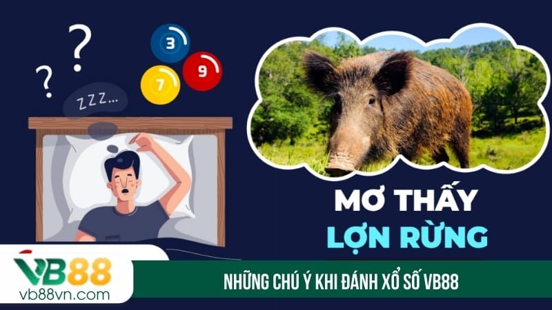 Những chú ý khi đánh xổ số VB88