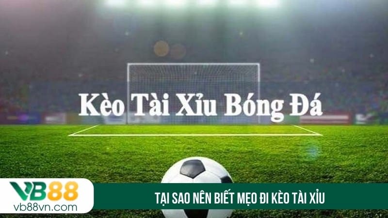 Tại sao nên biết mẹo đi kèo tài xỉu